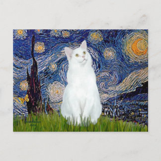 Carte Postale Starry Night - chat blanc