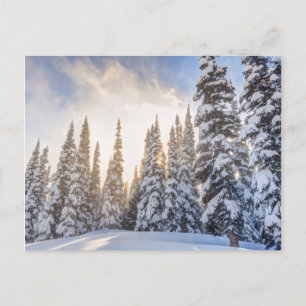 Carte Postale Station de ski de Crystal Mountain, près de Mt. Ra