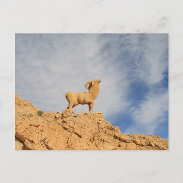 Carte Postale statue de chèvre tunisienne (Devant)