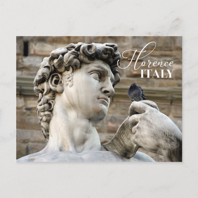 Carte Postale Statue de David et pigeon (Devant)