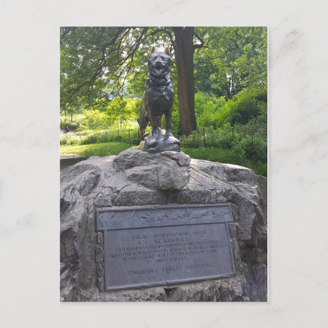 Carte Postale Statue du Balto à Central Park (Devant)