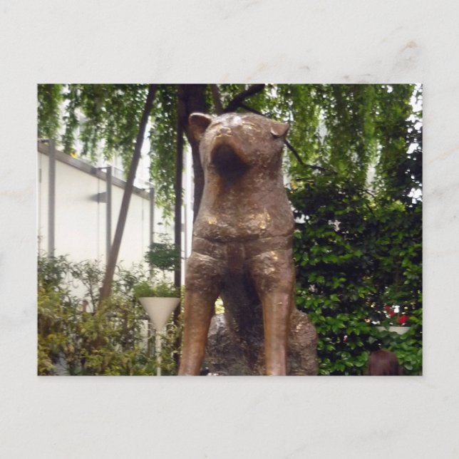 Carte Postale statue hachiko shibuya (Devant)