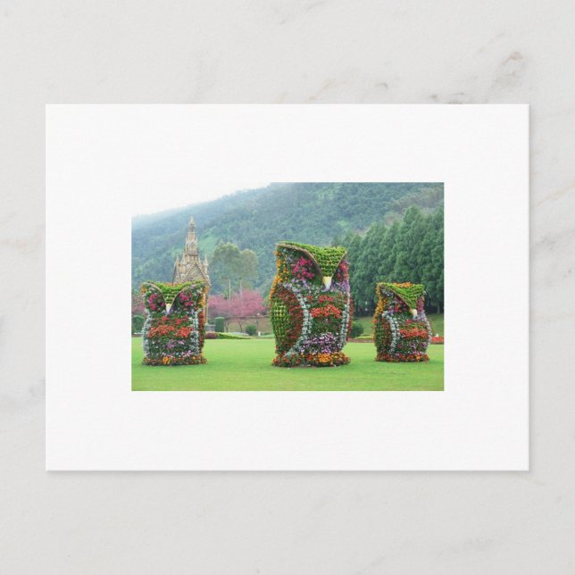 Carte Postale statues de fleur de hibou (Devant)