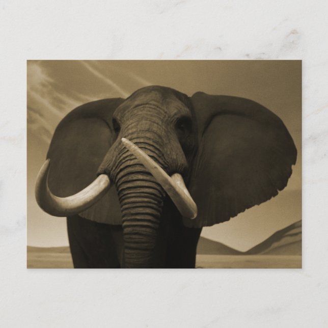Carte Postale Stature de Majestic (Devant)