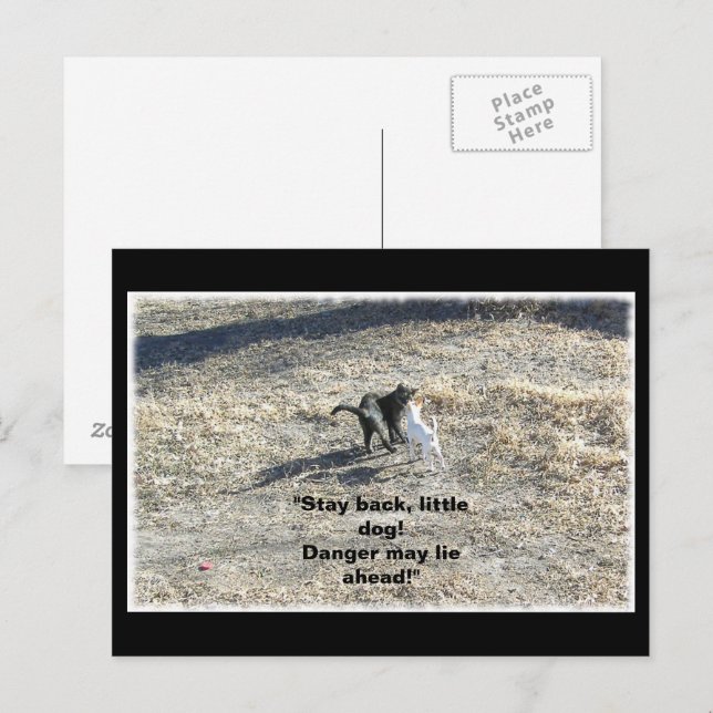 Carte postale Stay Back Little Dog (Devant / Derrière)