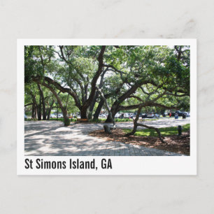 Carte Postale Ste Simons GA Wandering Oak Tree