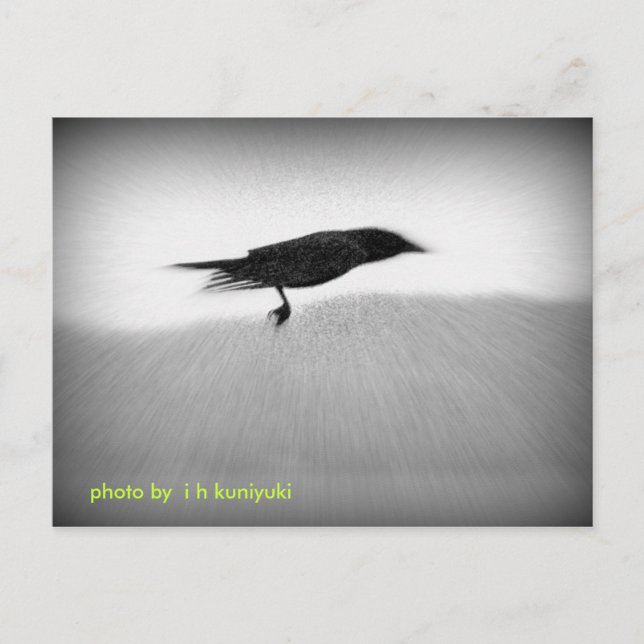 Carte Postale Stealth Crow (Devant)