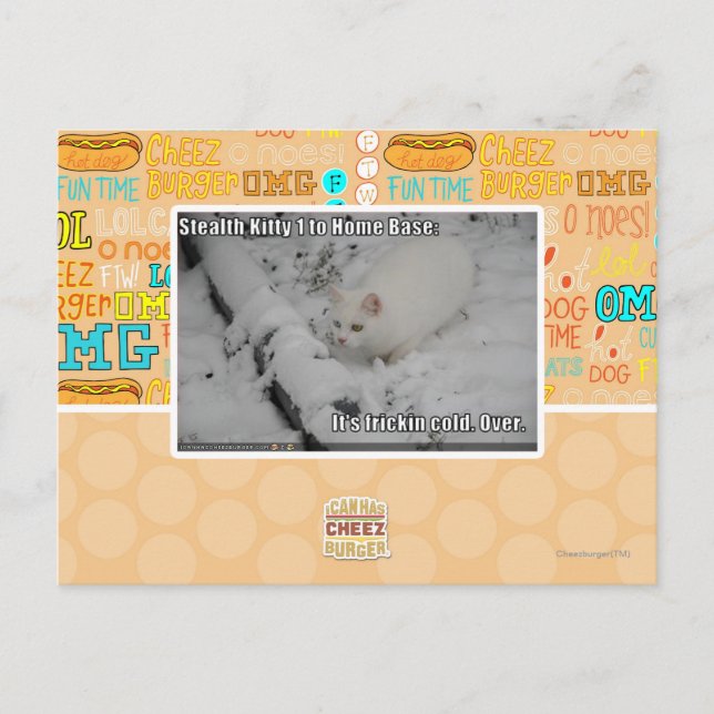 Carte Postale Stealth Kitty 1 (Devant)