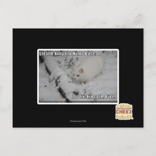 Carte Postale Stealth Kitty 1
