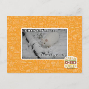 Carte Postale Stealth Kitty 1