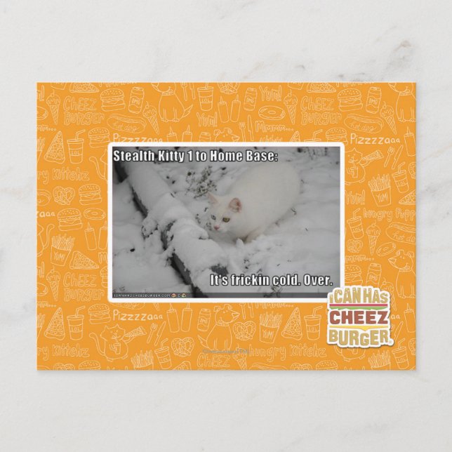 Carte Postale Stealth Kitty 1 (Devant)