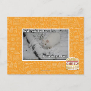 Carte Postale Stealth Kitty 1