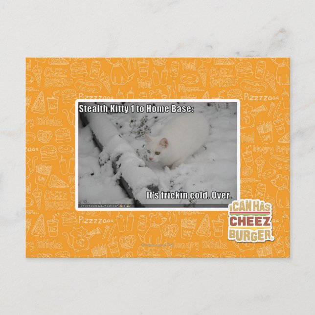 Carte Postale Stealth Kitty 1 (Devant)