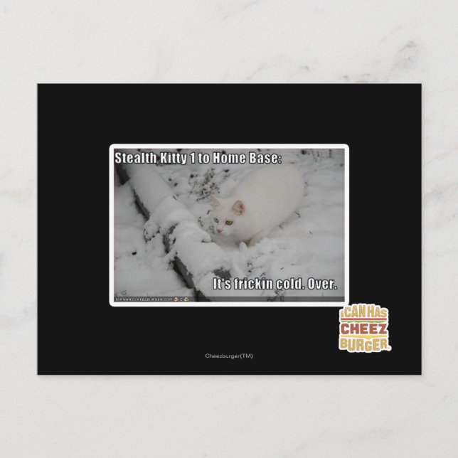 Carte Postale Stealth Kitty 1 (Devant)