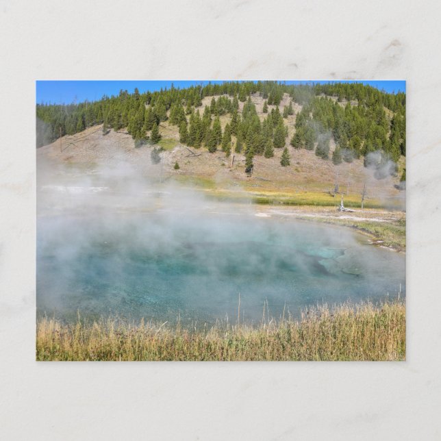 Carte Postale Steel Bridge Pool, parc national Yellowstone (Devant)