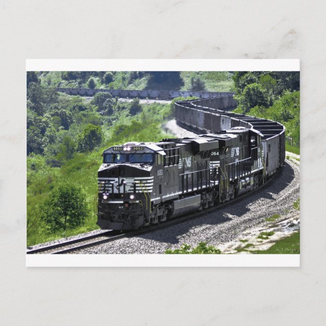 Carte Postale Steel Snake (Devant)