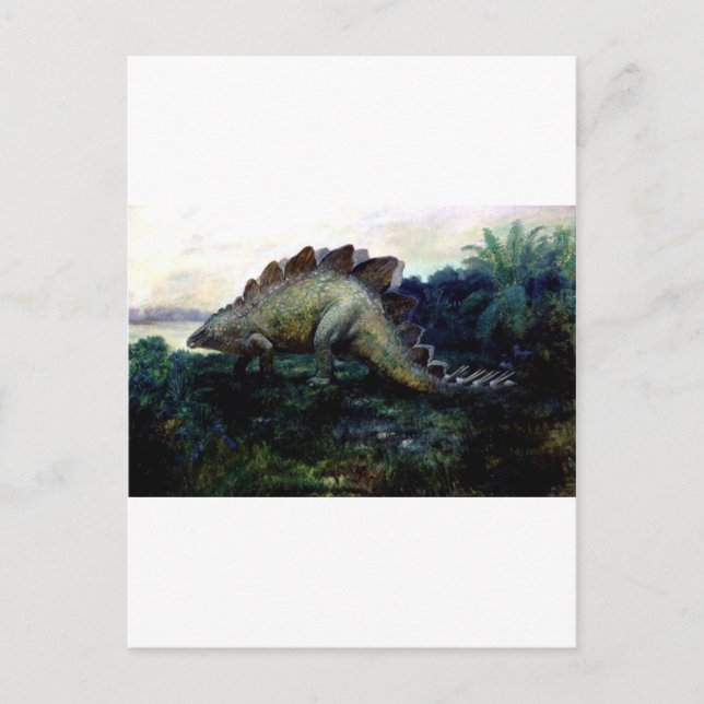 Carte Postale stégosaurus-4 (Devant)
