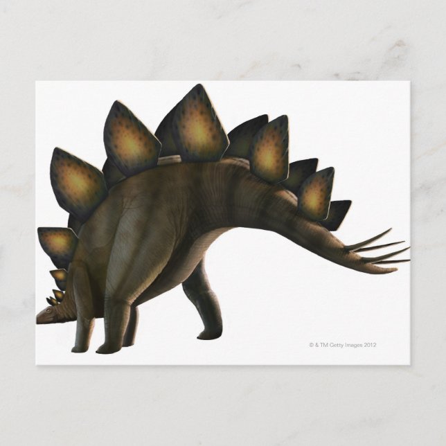 Carte Postale Stegosaurus dinosaur, ordinateur artiwork. (Devant)