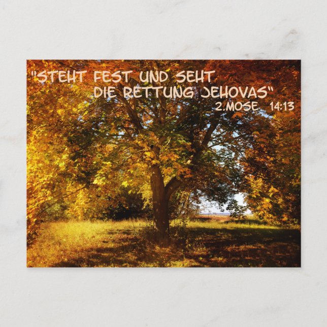 Carte Postale Steht fest und sehdie Rettung (Devant)