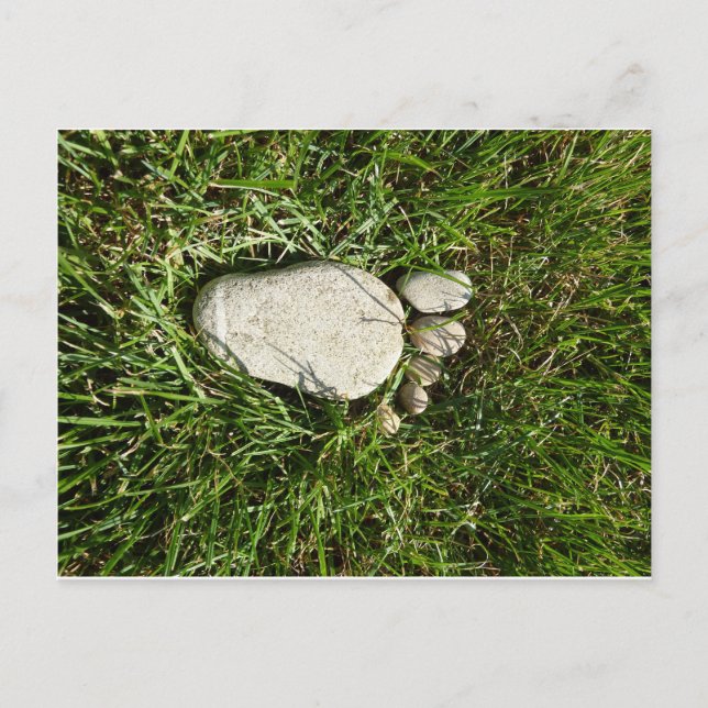 Carte Postale Steinfuss (Devant)