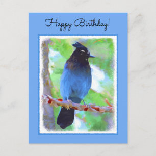 Carte Postale Steller's Jay Painting - Art original pour oiseaux