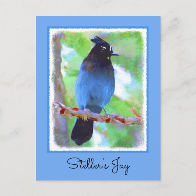 Carte Postale Steller's Jay Painting - Art original pour oiseaux (Devant)