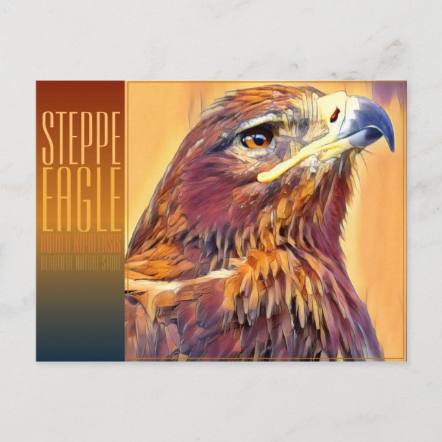 Carte Postale Steppe Eagle [Carte postale] (Devant)
