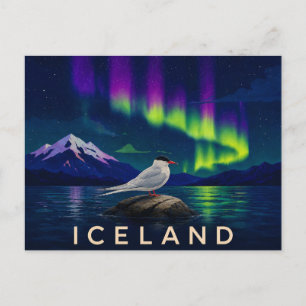Carte Postale Sterne arctique sous l'aurore   Islande iconique