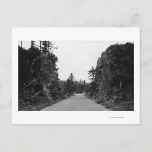 Carte Postale Stevenson Pass, WA View North Bank Highway