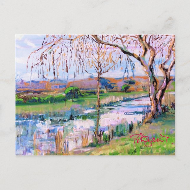 Carte Postale Steyning West Sussex (Devant)