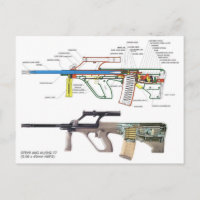 Steyr Aug