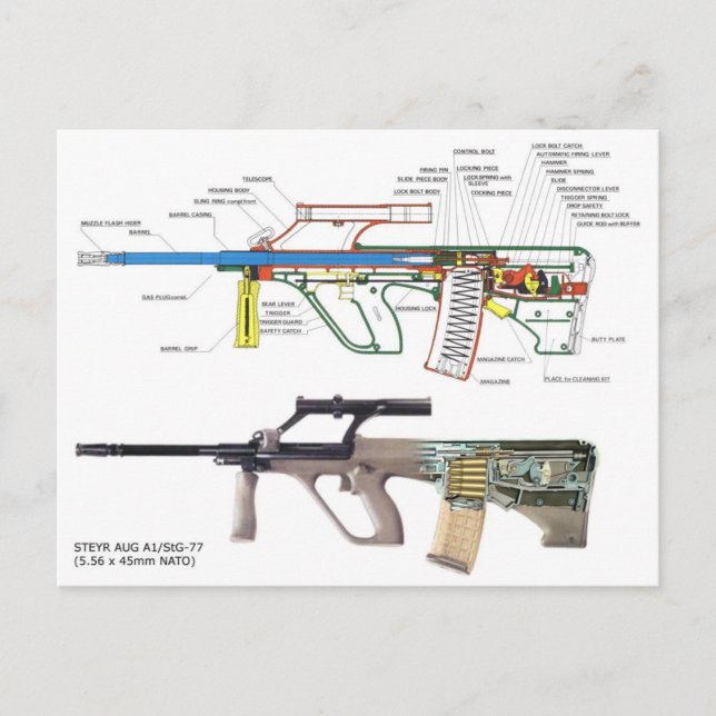 Carte Postale Steyr Aug (Devant)