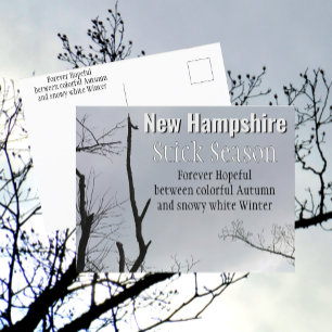 Carte Postale Stick New Hampshire Saison Nouvelle-Angleterre Pho