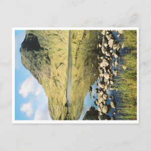 Carte Postale Stickle Tarn réflexions estivales, Lake District.