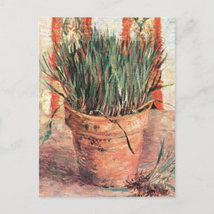 Carte Postale Still Life Flowerpot w Chives par Vincent van Gogh