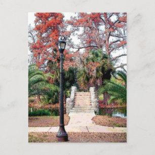 Carte Postale Stone Bridge City Park Nouvelle-Orléans