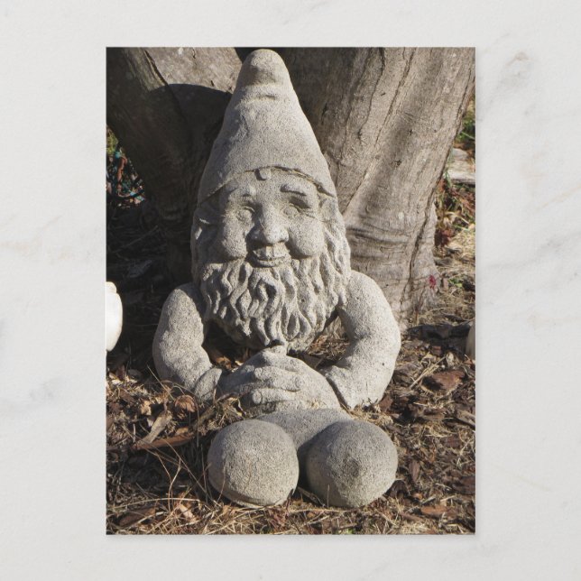 Carte Postale Stone Gnome (Devant)