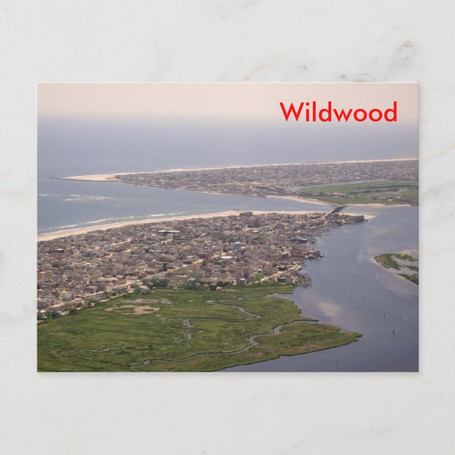 Carte Postale Stone Harbour - Wildwood, NJ (Devant)
