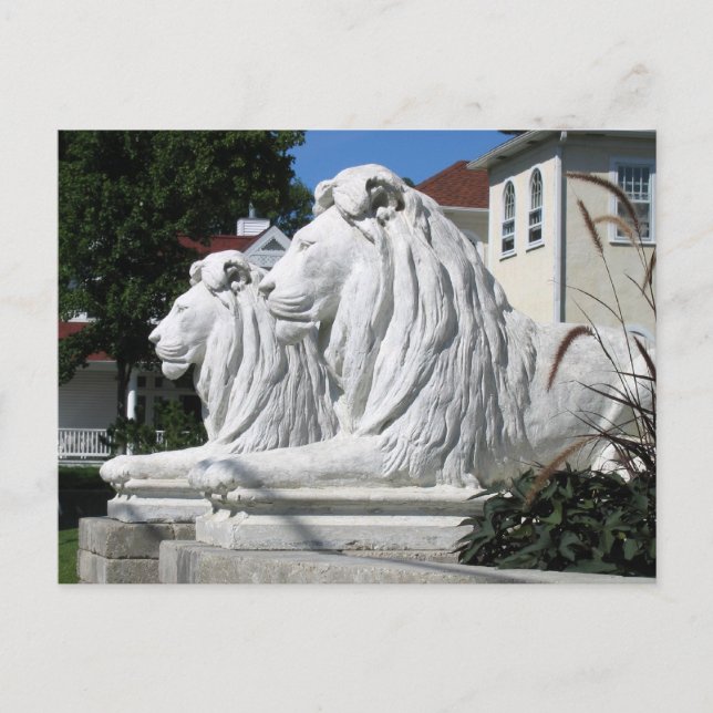 Carte postale Stone Lions (Devant)