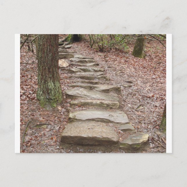 Carte Postale Stone Stair Path à Fall Creek Falls, TN (Devant)