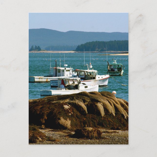 Carte postale Stonington, Maine (Devant)