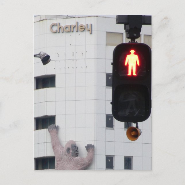 Carte Postale STOP Il y a un gorille au mur ! (Devant)
