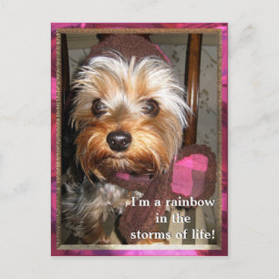 Carte postale Stores de vie