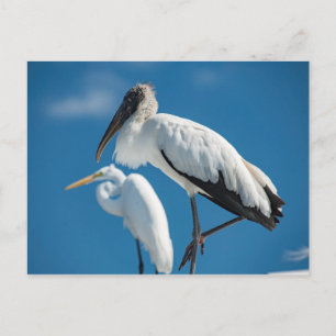 Carte Postale Stores en bois