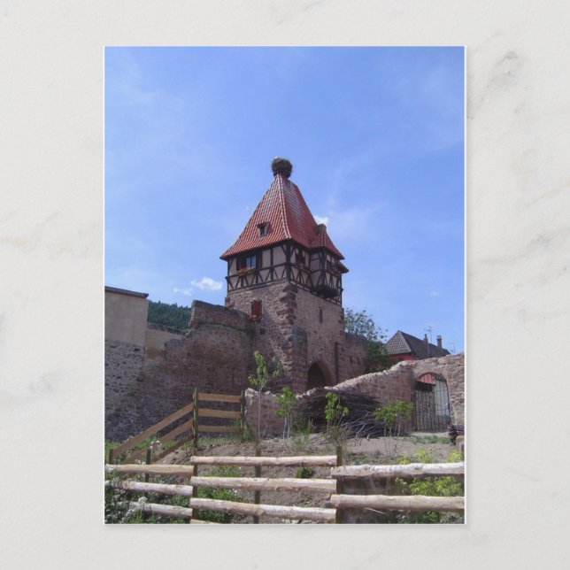 Carte Postale Stork nest in Chatenois (Devant)