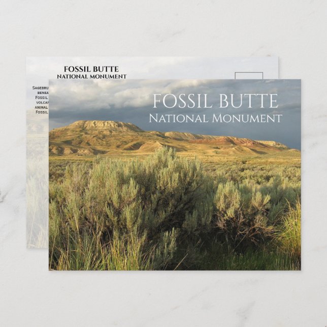 Carte Postale Stormy Sky Fossil Butte Monument National Wyoming (Devant / Derrière)