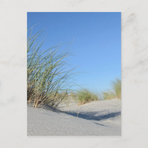 Carte Postale Strand