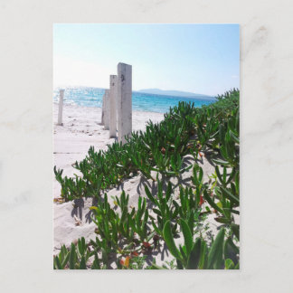 Carte Postale Strand bei Alghero Sardinien - Postkarte