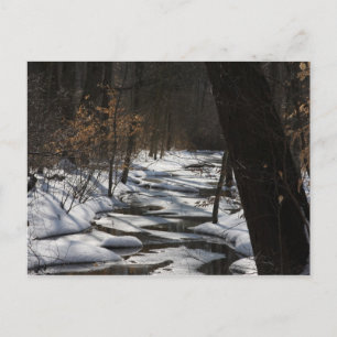 Carte postale Stream d'hiver