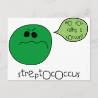 Streptocoque